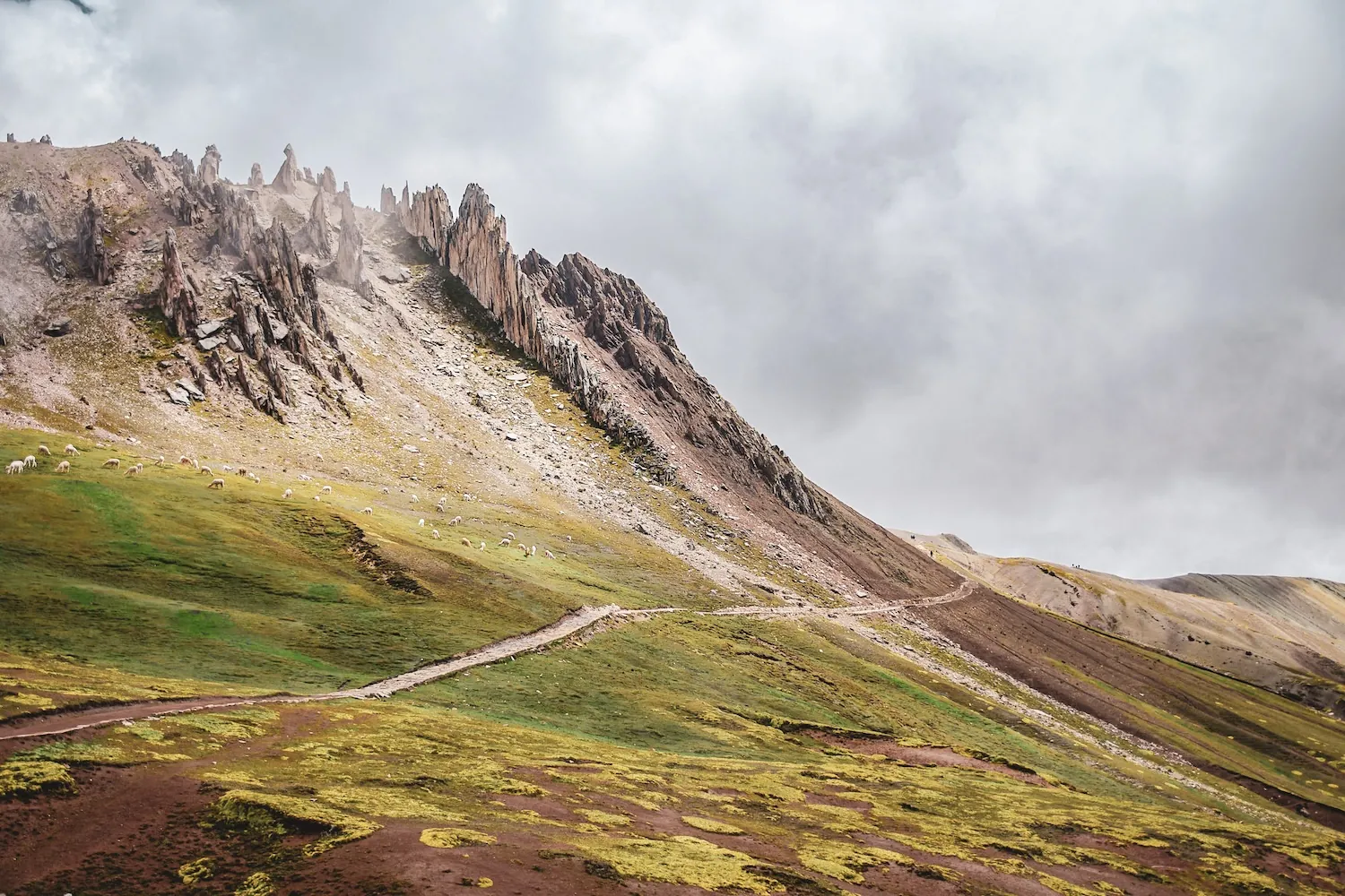 Palccoyo Rainbow Mountain photo 5